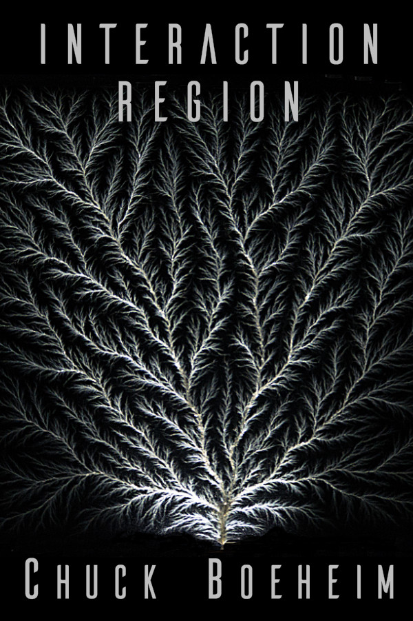 Cover of Interaction Region